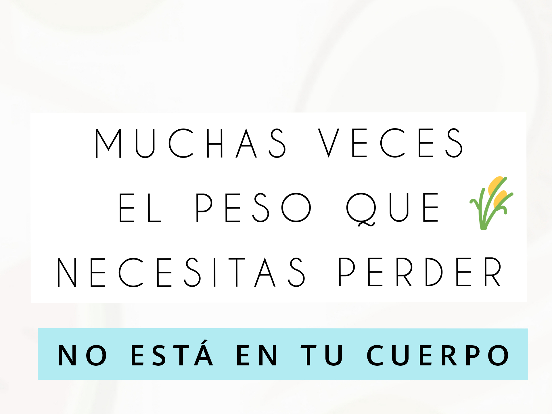 CAMBIEMOS EL ENFOQUE